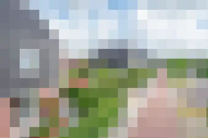Vlinderlaan 57 Mierlo thumbnail 8
