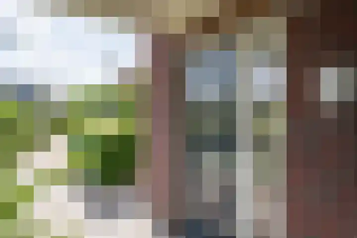 Vlinderlaan 57 Mierlo thumbnail 9