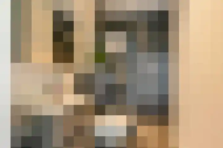 Vlinderlaan 62 Mierlo thumbnail 24