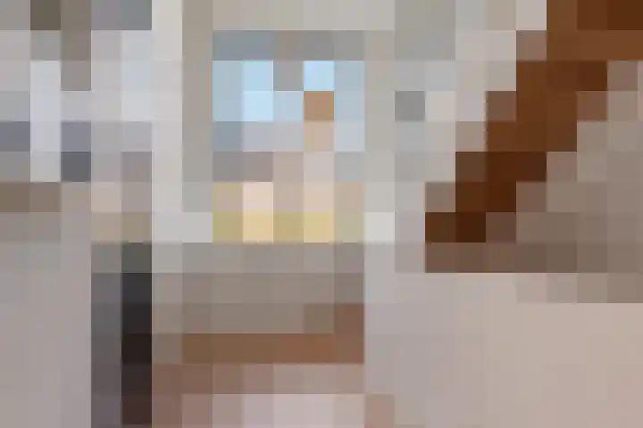 Vlinderlaan 62 Mierlo thumbnail 26