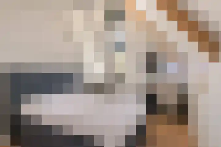 Vlinderlaan 62 Mierlo thumbnail 29