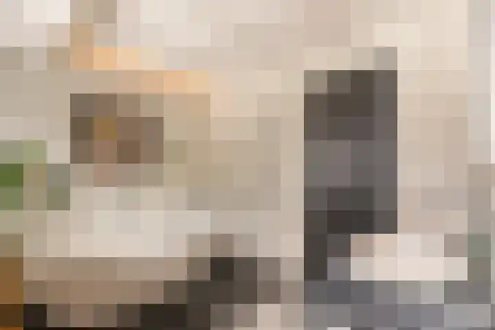 Vlinderlaan 62 Mierlo thumbnail 31