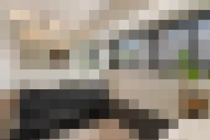 Vlinderlaan 62 Mierlo thumbnail 32