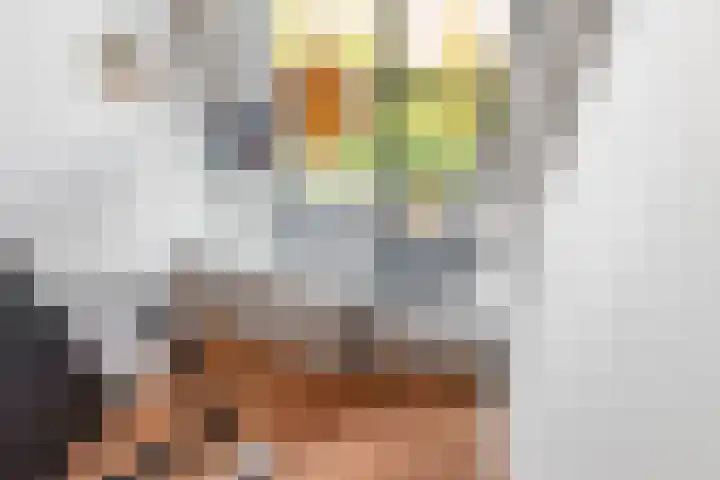 Vlinderlaan 62 Mierlo thumbnail 34