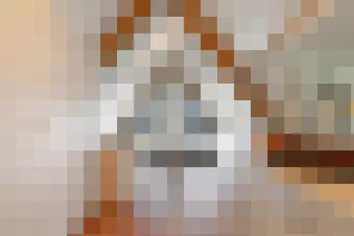 Vlinderlaan 62 Mierlo thumbnail 35