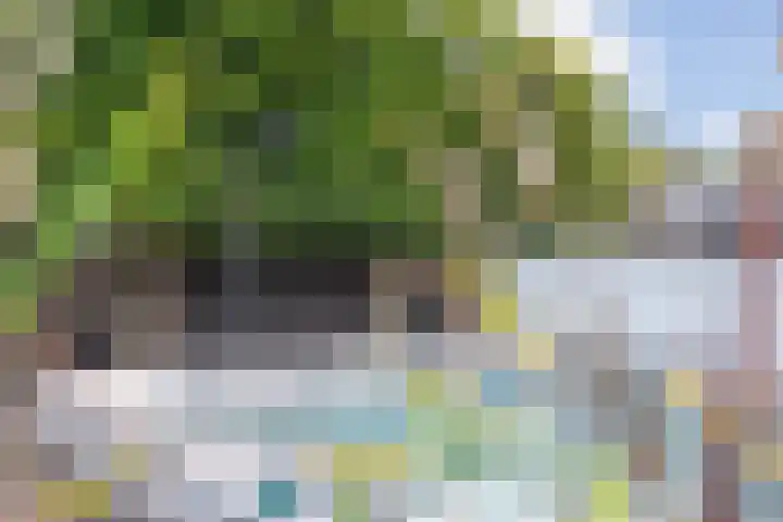 Vlinderlaan 62 Mierlo thumbnail 40