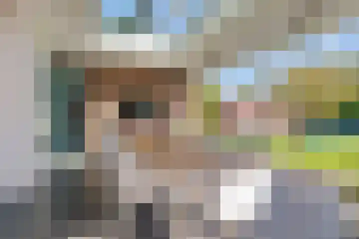 Vlinderlaan 62 Mierlo thumbnail 47