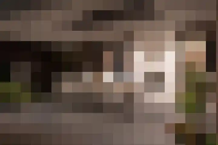 Vlinderlaan 62 Mierlo thumbnail 49