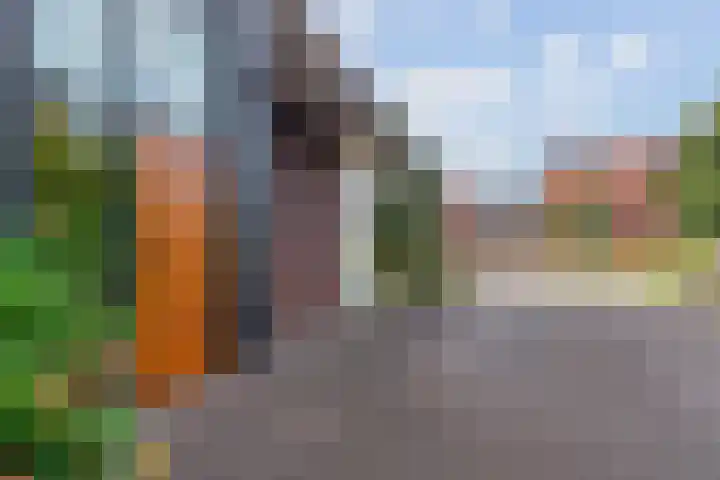 Vlinderlaan 62 Mierlo thumbnail 6