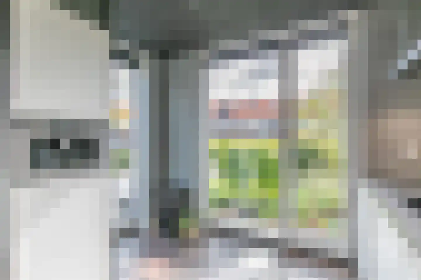 Vlinderlaan 73 Nijkerk thumbnail 17