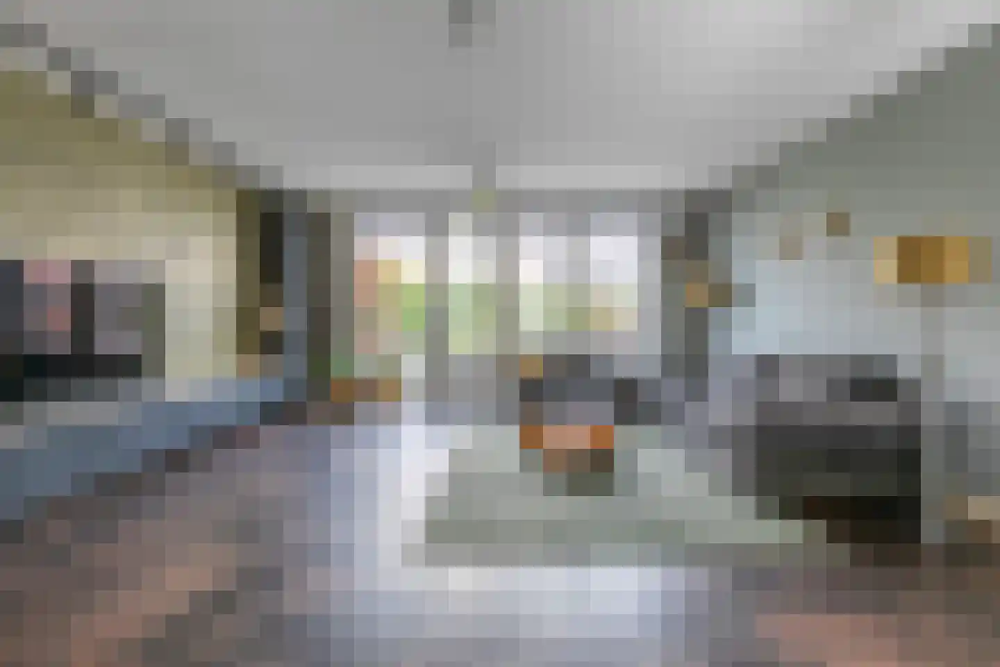 Vlinderlaan 73 Nijkerk thumbnail 6
