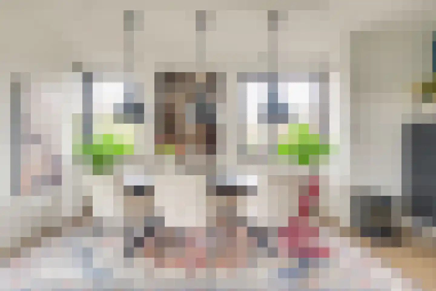 Vlinderlaan 90 Mierlo thumbnail 15