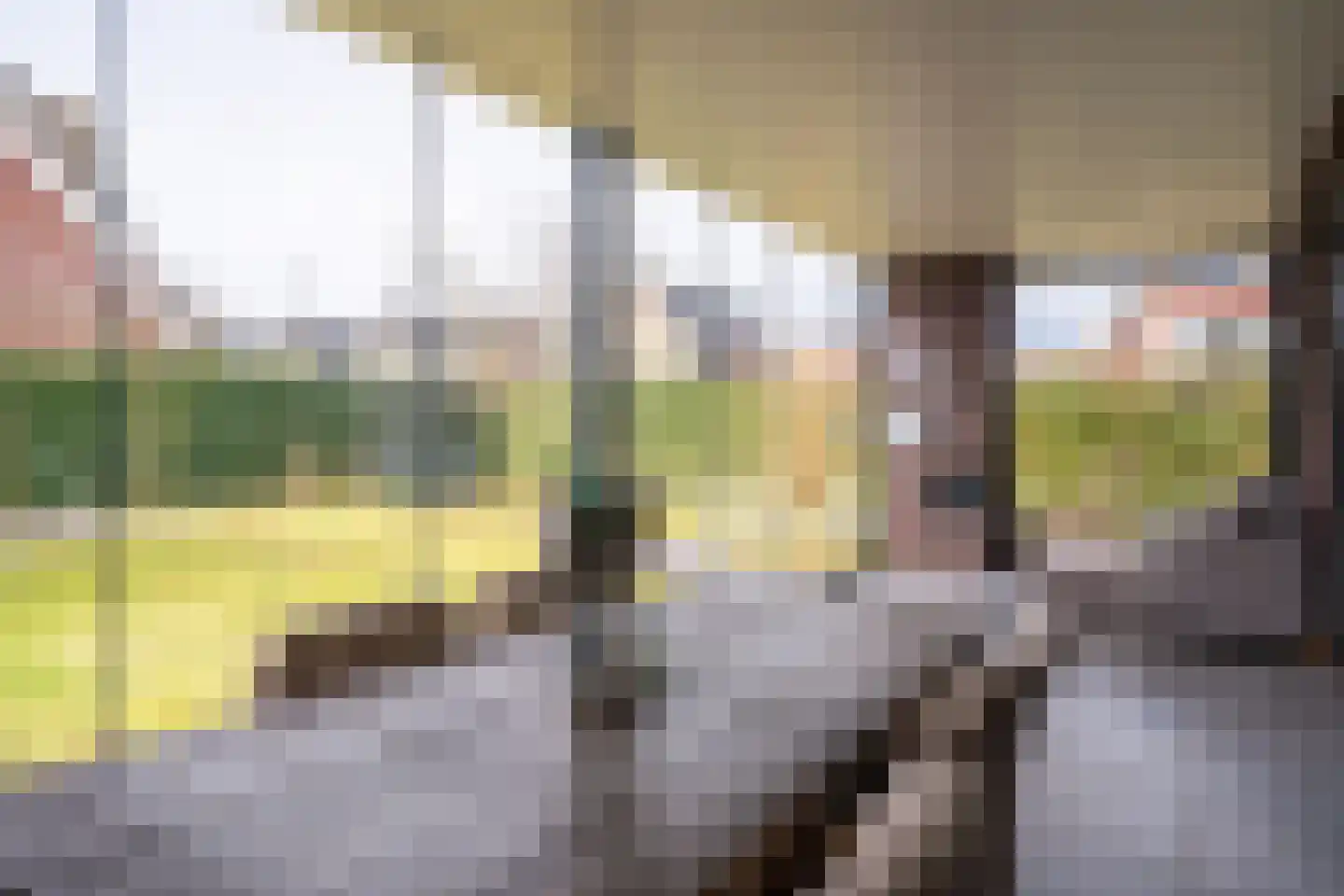 Vlinderlaan 90 Mierlo thumbnail 20