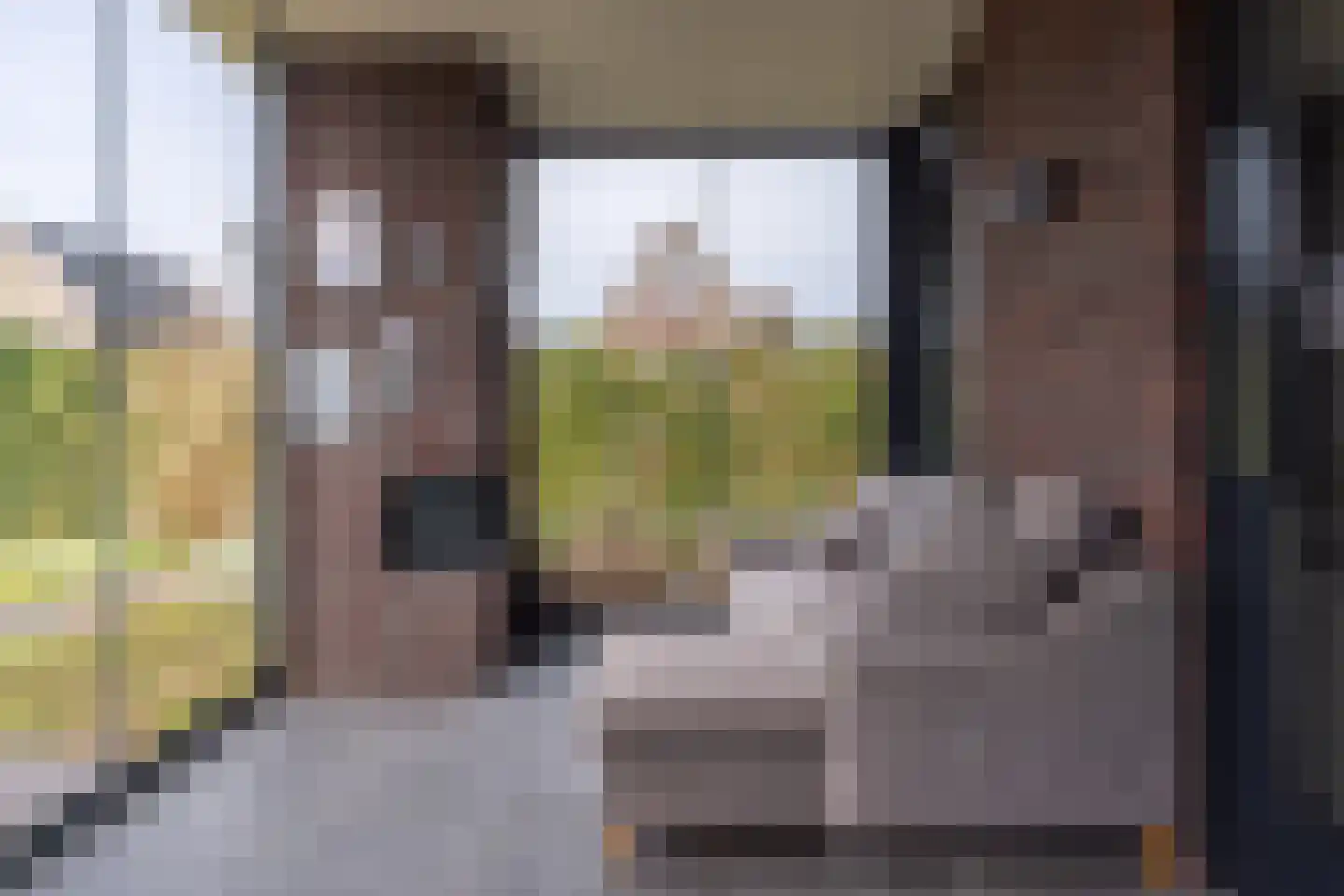 Vlinderlaan 90 Mierlo thumbnail 21
