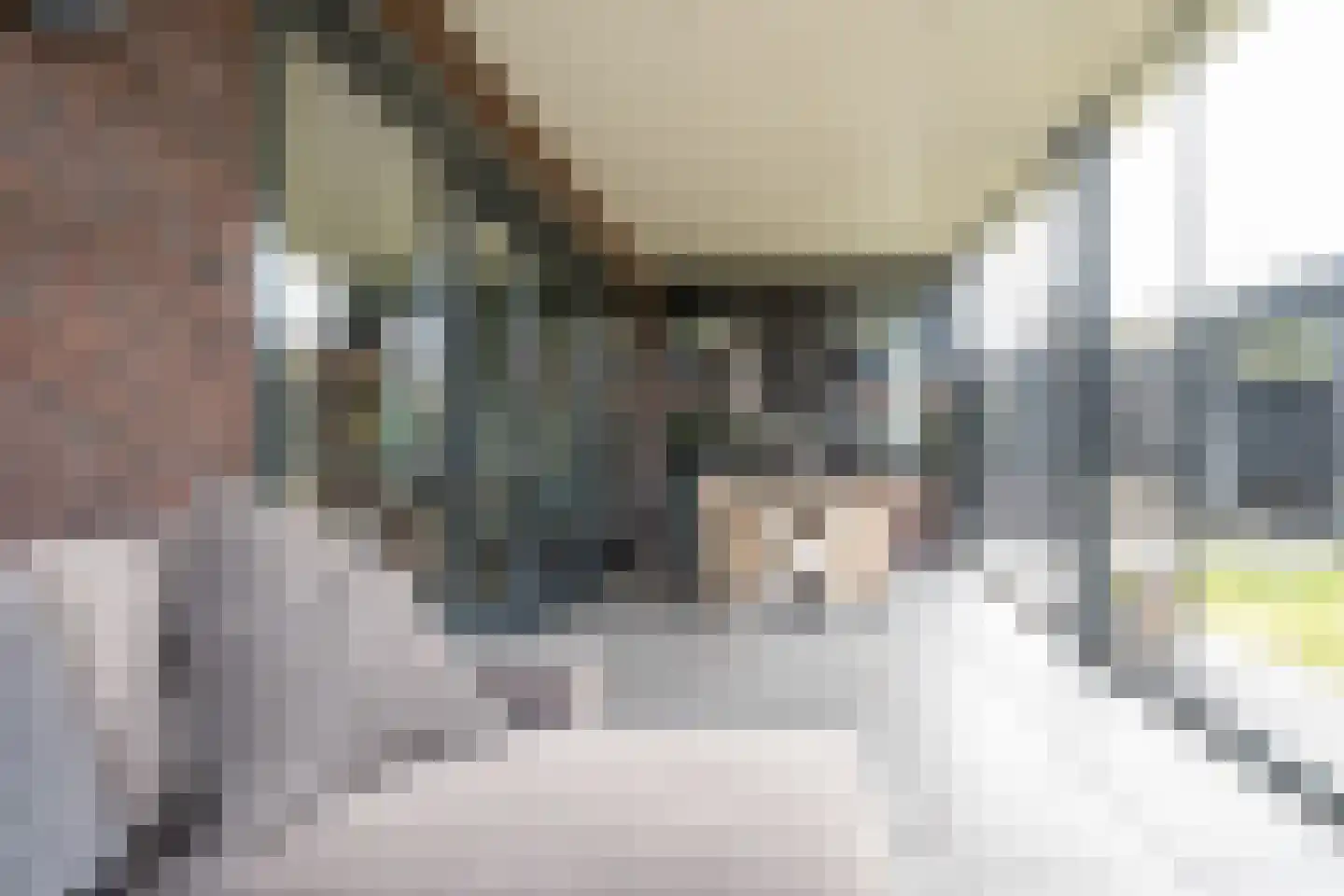 Vlinderlaan 90 Mierlo thumbnail 22