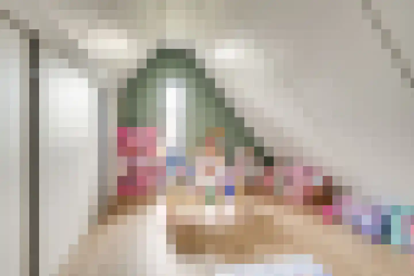 Vlinderlaan 90 Mierlo thumbnail 42