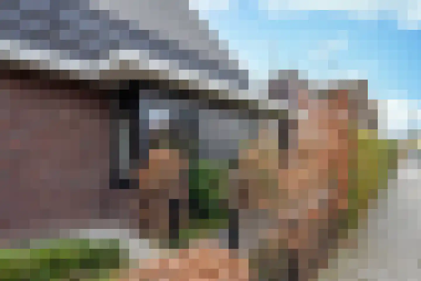 Vlinderlaan 90 Mierlo thumbnail 49