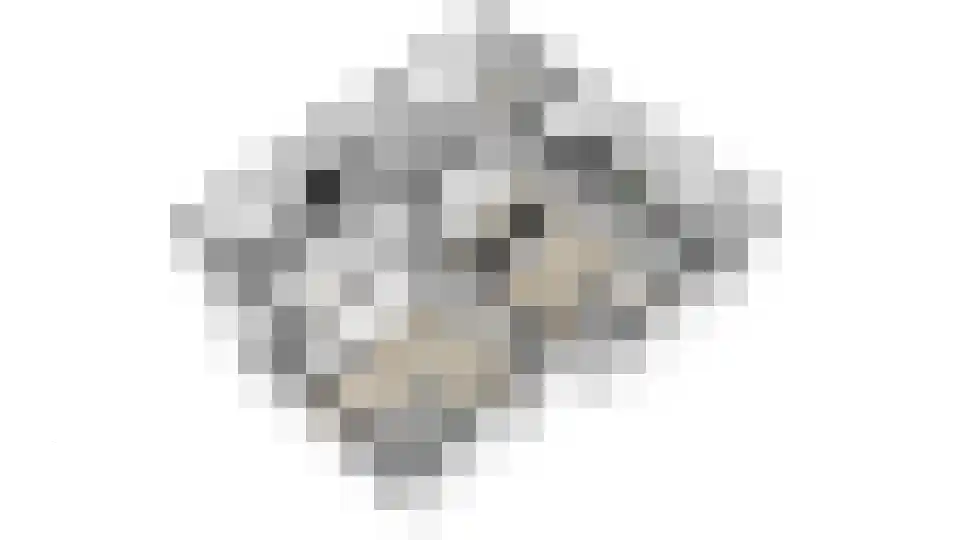 Vlinderlaan 90 Mierlo thumbnail 55