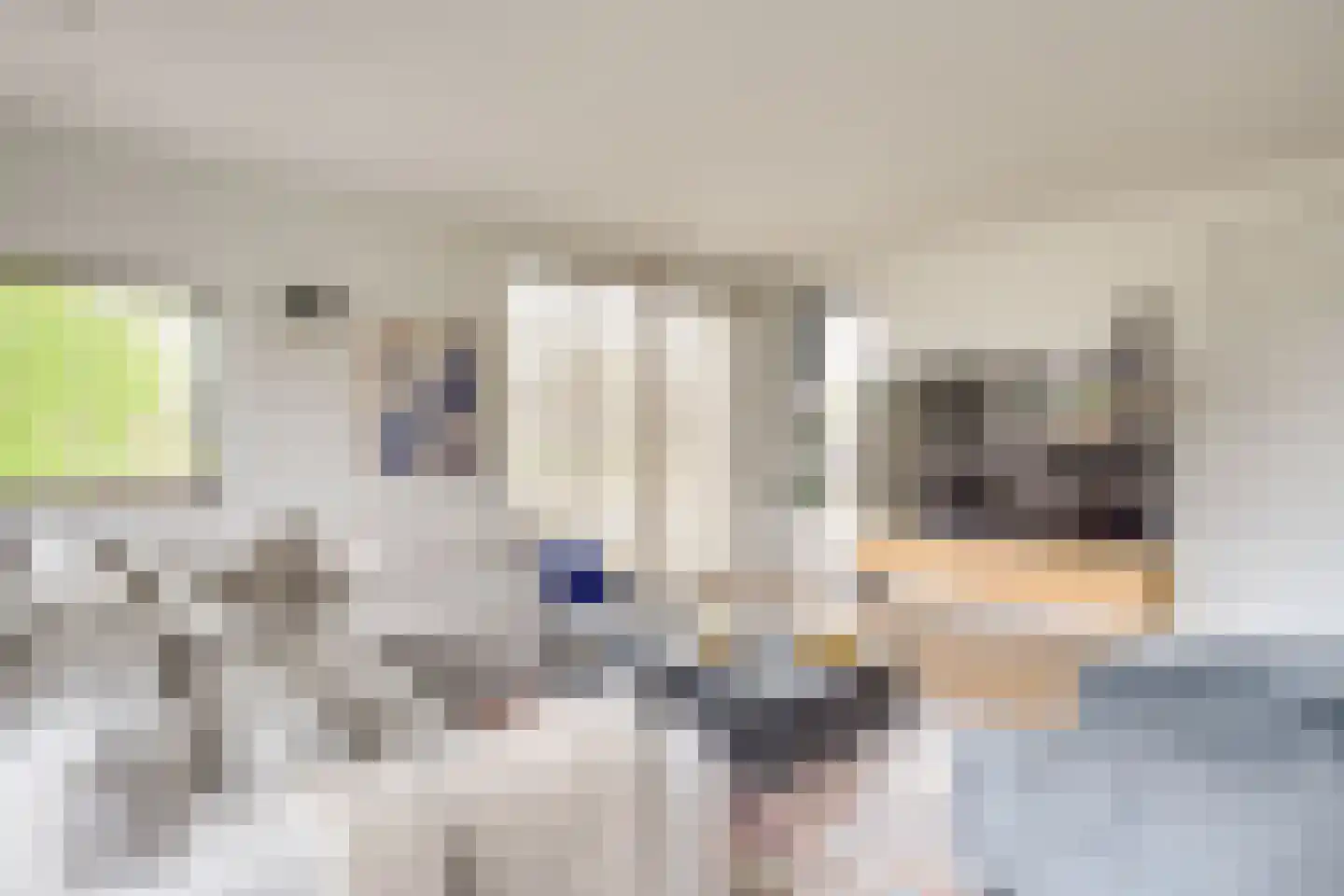 Vlinderlaan 90 Mierlo thumbnail 9
