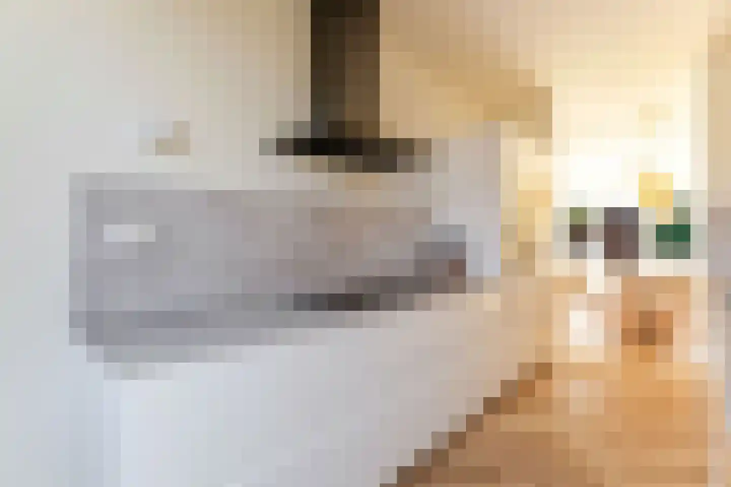 Vlinderlaan 90 Nijkerk thumbnail 13