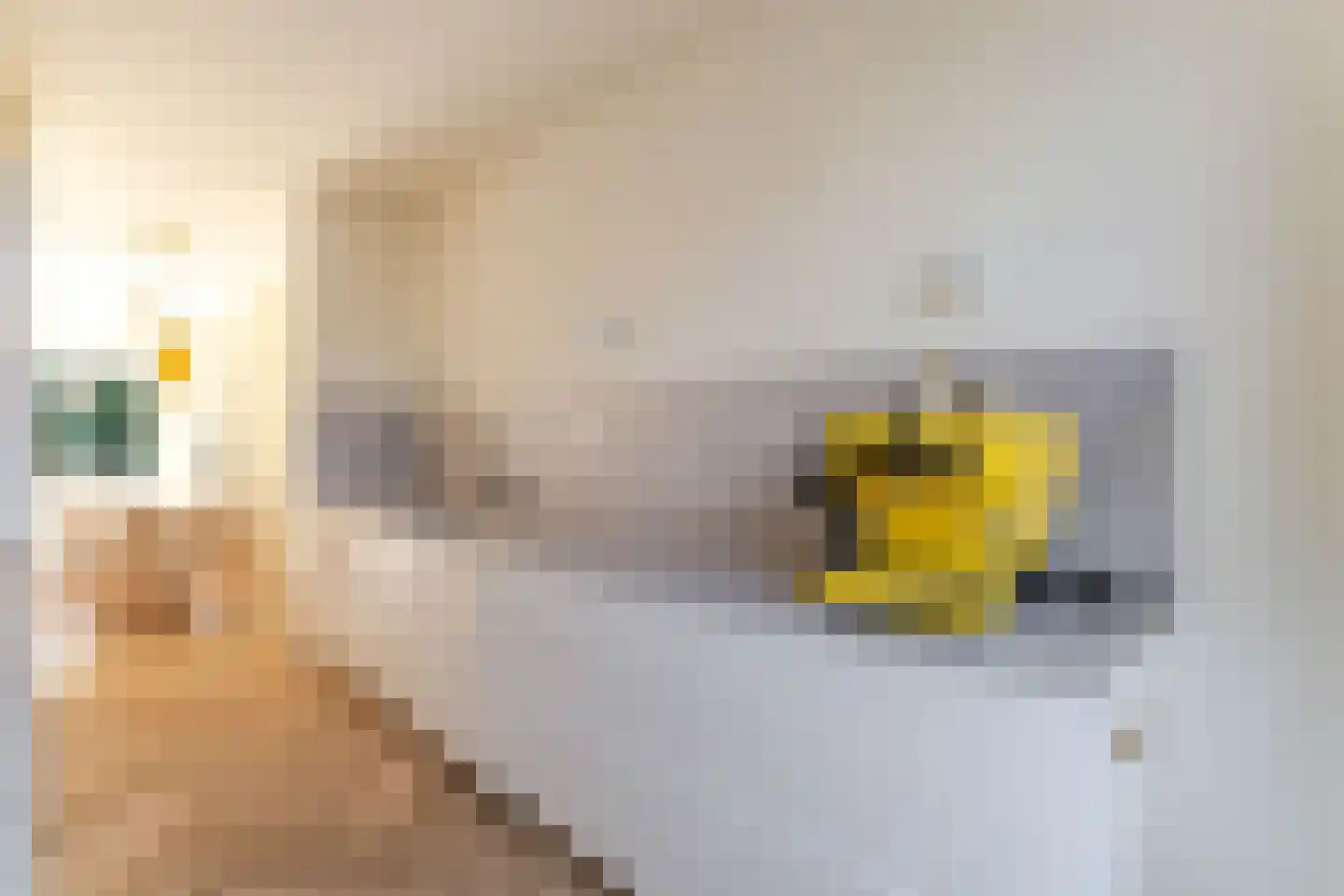 Vlinderlaan 90 Nijkerk thumbnail 14