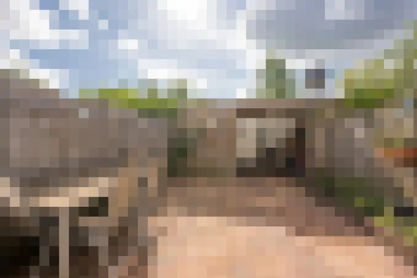 Vlinderlaan 92 Nijkerk thumbnail 31