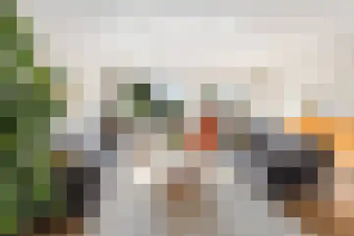 Vlindermeent 32 Hilversum thumbnail 12