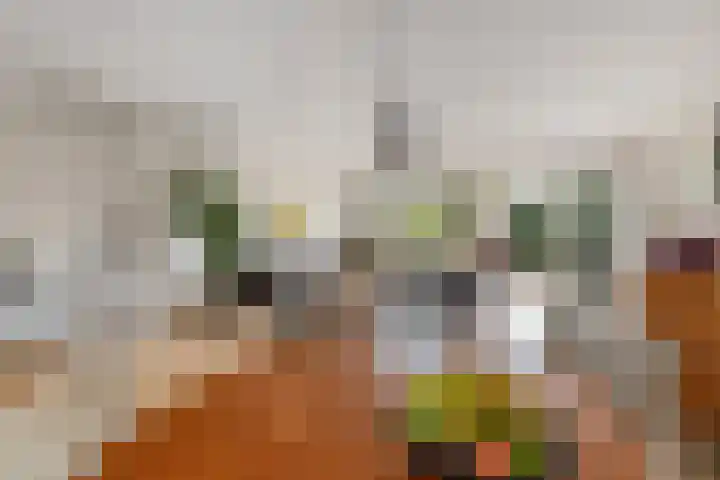 Vlindermeent 32 Hilversum thumbnail 15