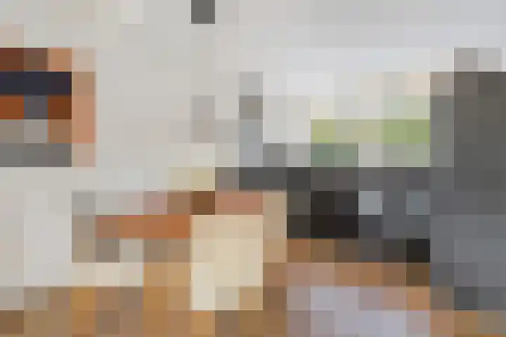 Vlindermeent 32 Hilversum thumbnail 16
