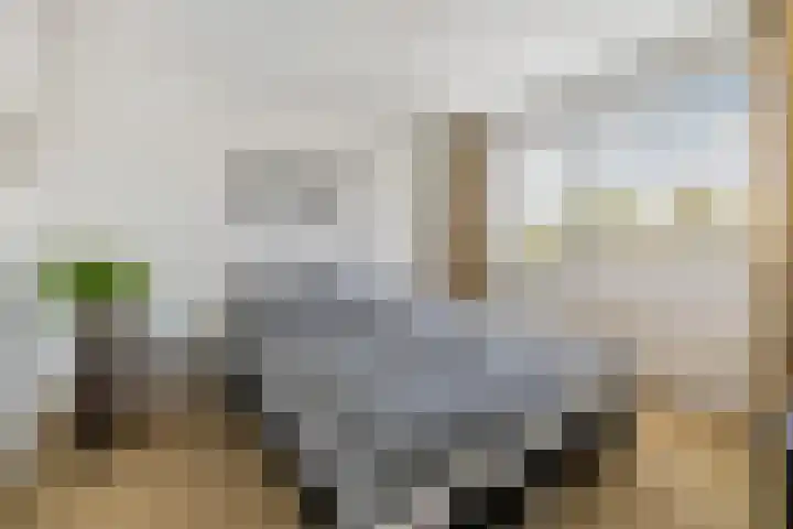 Vlindermeent 32 Hilversum thumbnail 21