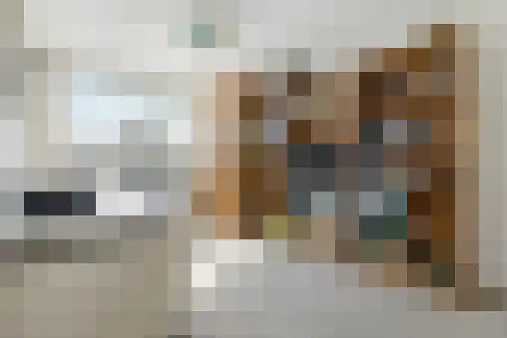 Vlindermeent 32 Hilversum thumbnail 23