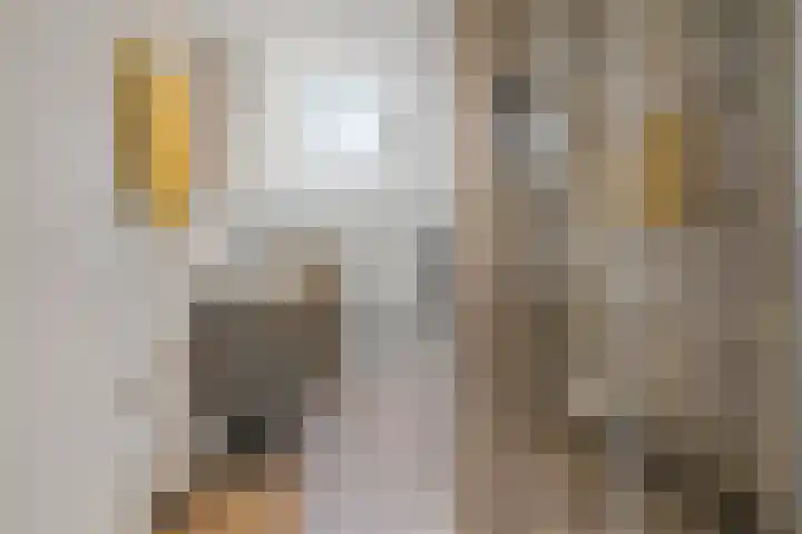 Vlindermeent 32 Hilversum thumbnail 24