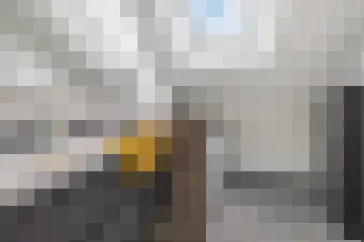 Vlindermeent 32 Hilversum thumbnail 25