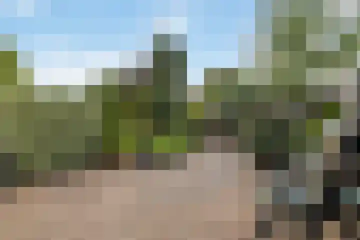 Vlindermeent 32 Hilversum thumbnail 31