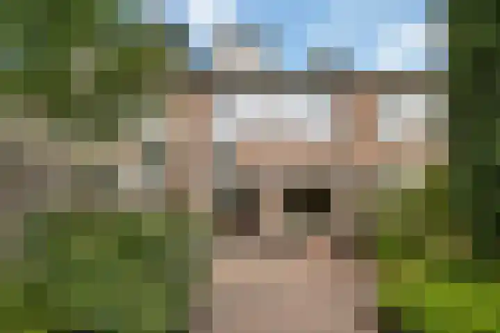 Vlindermeent 32 Hilversum thumbnail 34