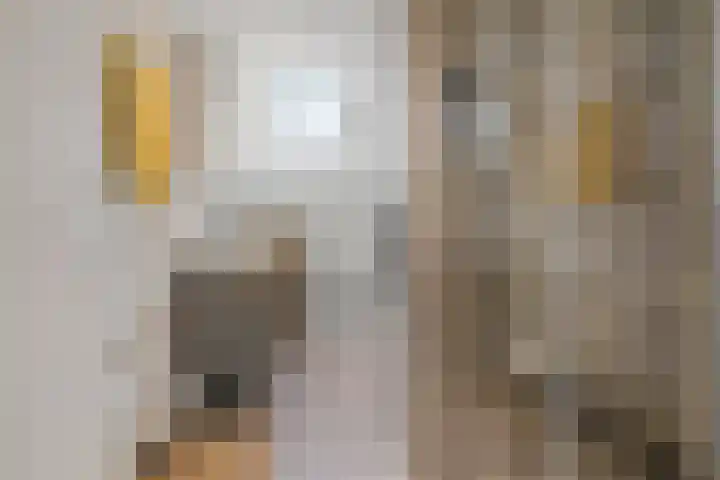Vlindermeent 32 Hilversum thumbnail 4