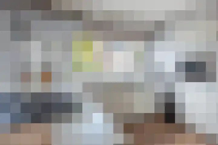 Vlindermeent 6 Hilversum thumbnail 16