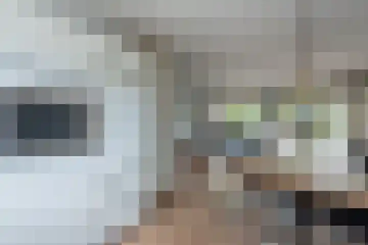 Vlindermeent 6 Hilversum thumbnail 19