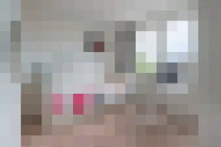 Vlindermeent 6 Hilversum thumbnail 28