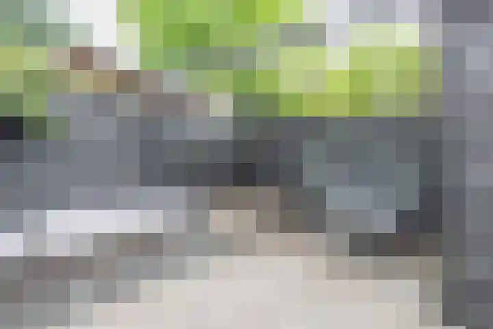 Vlindermeent 6 Hilversum thumbnail 39