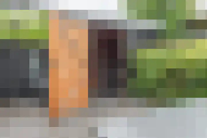 Vlindermeent 6 Hilversum thumbnail 40