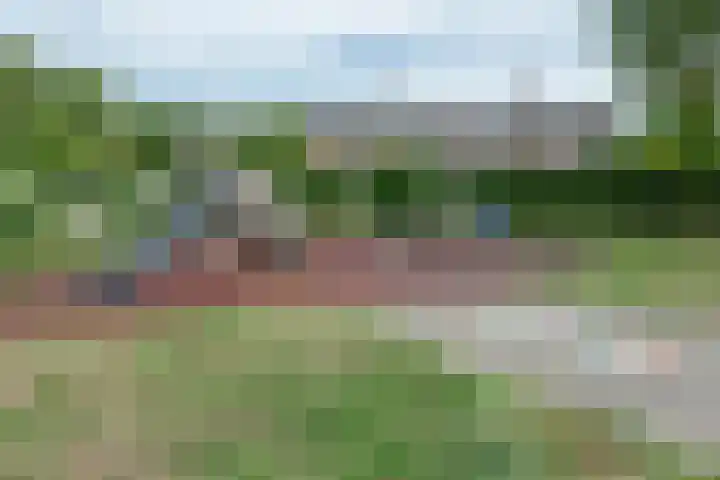 Vlindermeent 6 Hilversum thumbnail 43