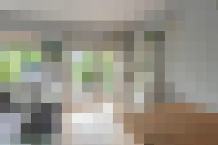 Vlindermeent 6 Hilversum thumbnail 9