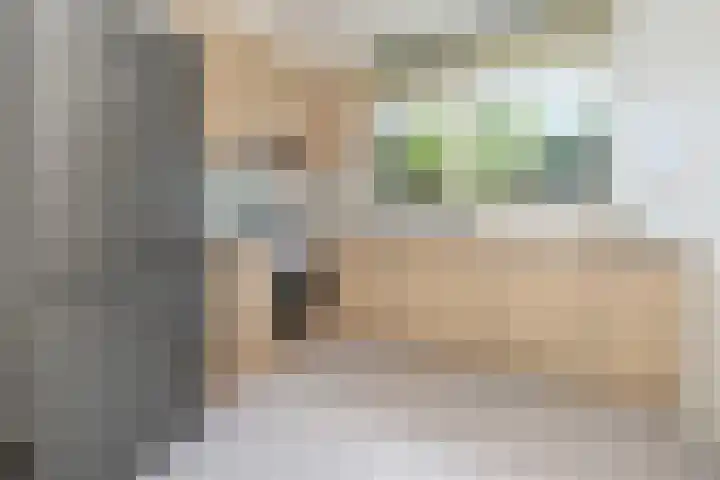 Vlindermeent 79 Hilversum thumbnail 10