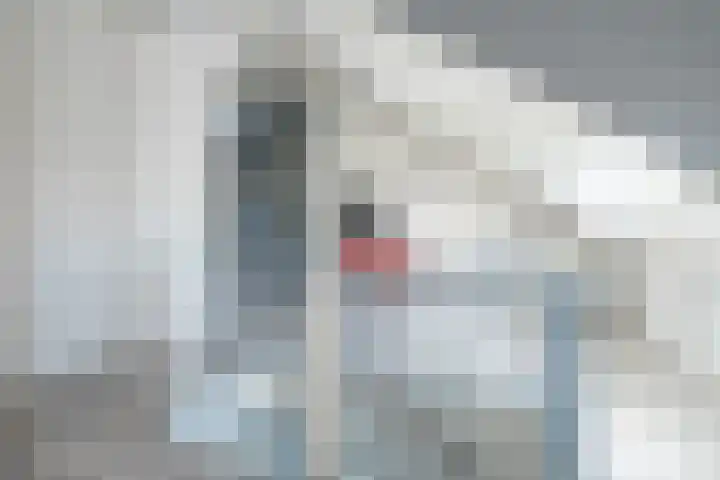 Vlindermeent 79 Hilversum thumbnail 20