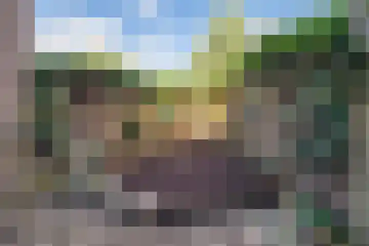 Vlindermeent 79 Hilversum thumbnail 28