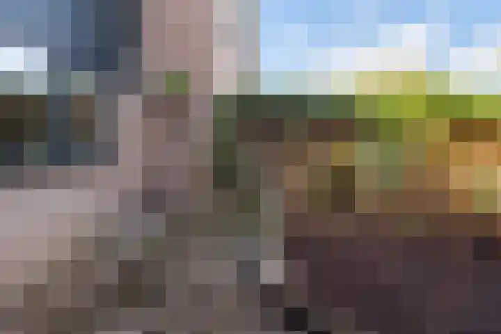 Vlindermeent 79 Hilversum thumbnail 29