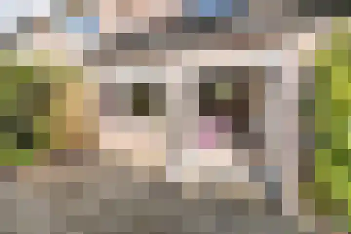Vlindermeent 79 Hilversum thumbnail 31
