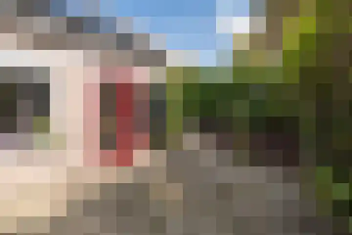 Vlindermeent 79 Hilversum thumbnail 32