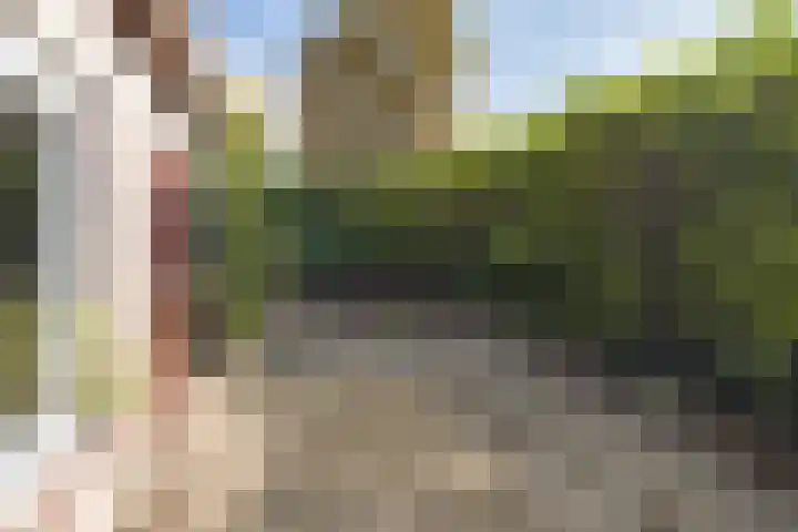 Vlindermeent 79 Hilversum thumbnail 34